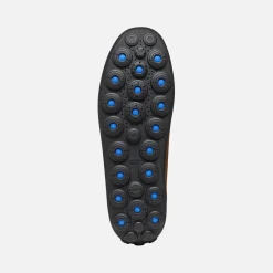 SPHERICA EC14 MAN